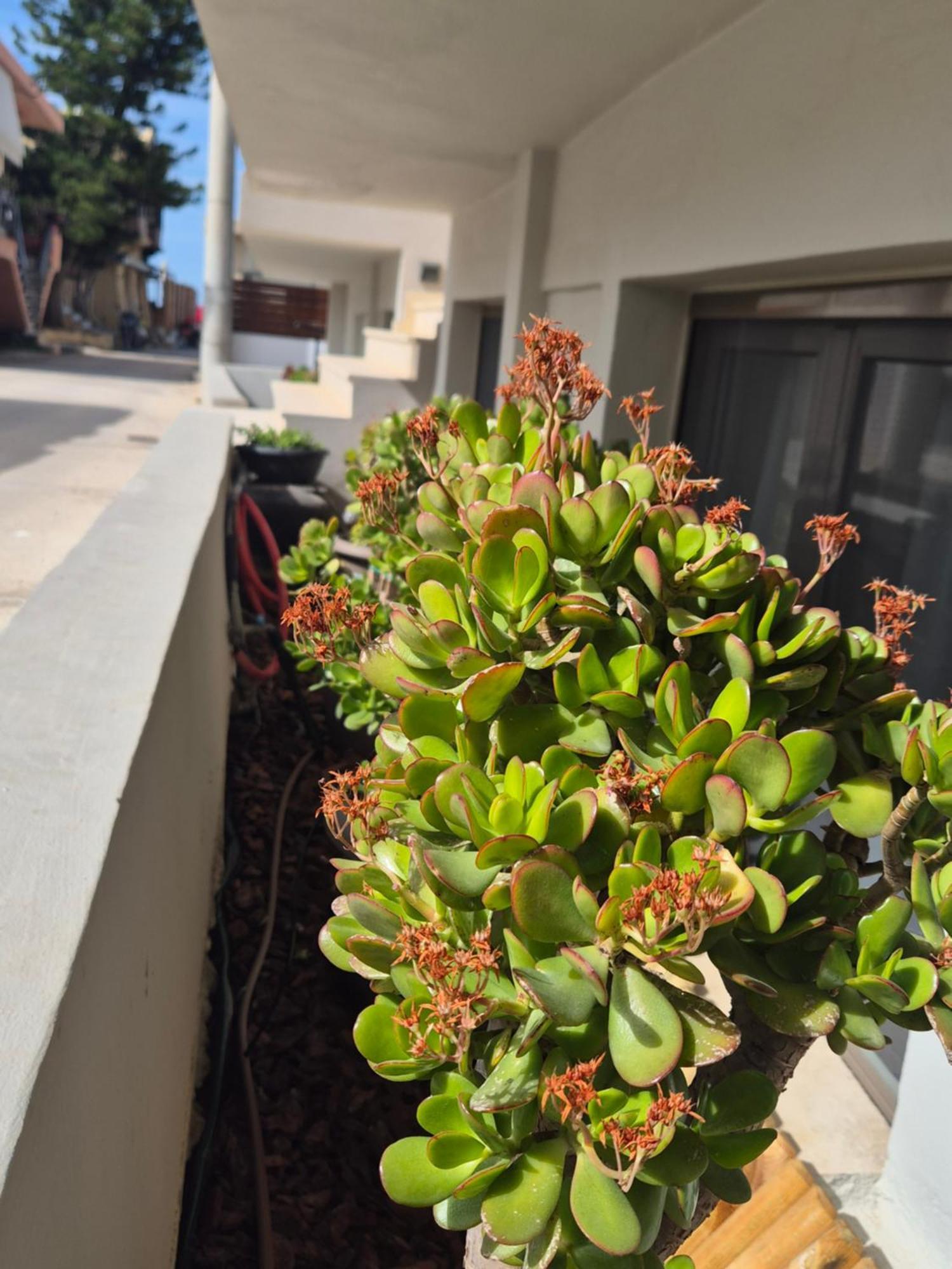 Calmare Suites Ρέθυμνο Εξωτερικό φωτογραφία
